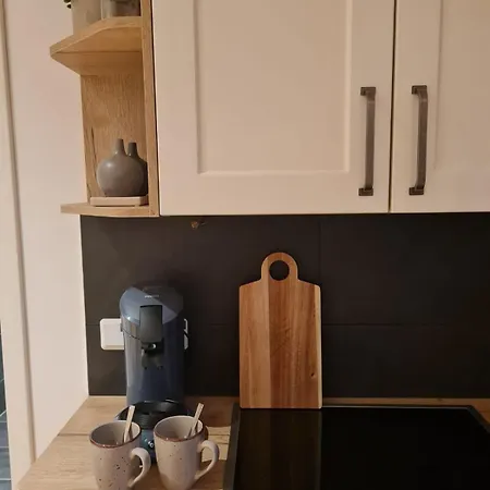 Ida 90 Mq Appartement Gernrode (Saxony-Anhalt)